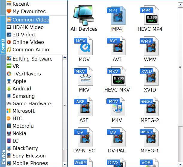 Choose MKV as the output format