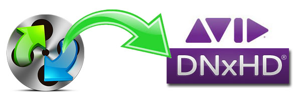 dnxhd codec for after effects download