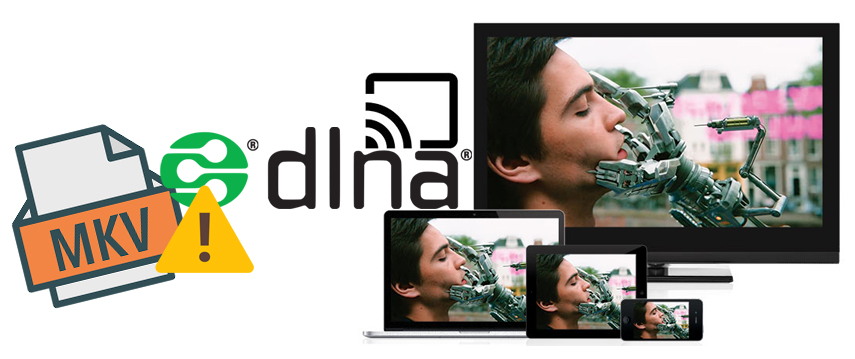 DLNA MKV Streaming and Playback Issue