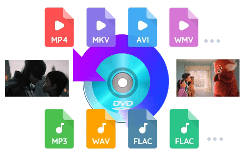 convert DVD to Any Popular Video and Audio Format