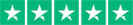 User's review