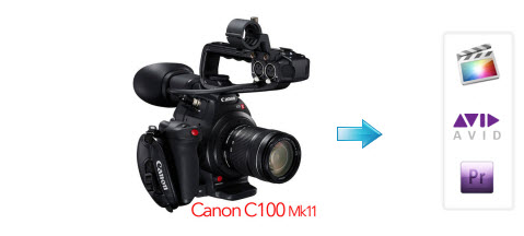 canon-c100-mark-ii-workflow-mac.jpg