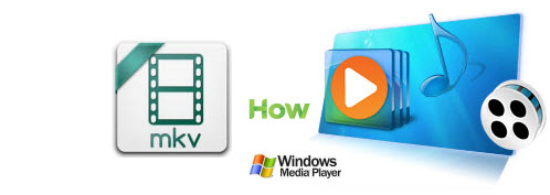 2 Easy Ways to Play MKV files in Windows Media Player 12/11/10/9