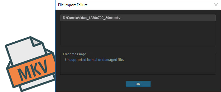 Adobe Premiere Pro File Format Not Supported Mkv