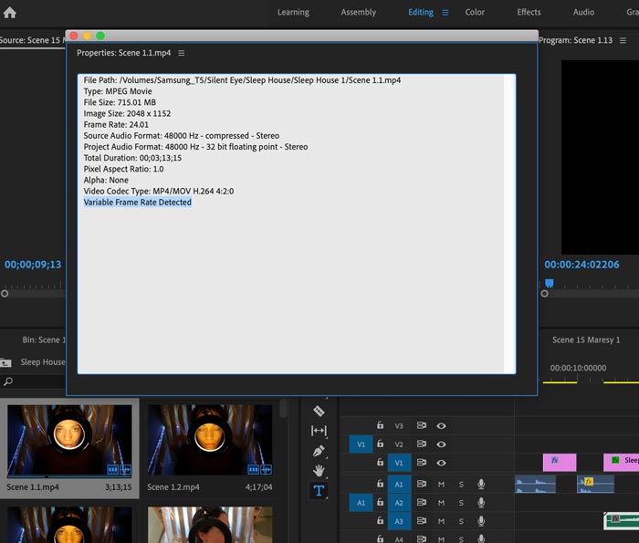 Premiere Pro - Variable Frame Rate Detected