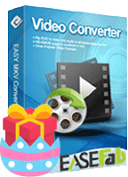 Video Converter for Windows