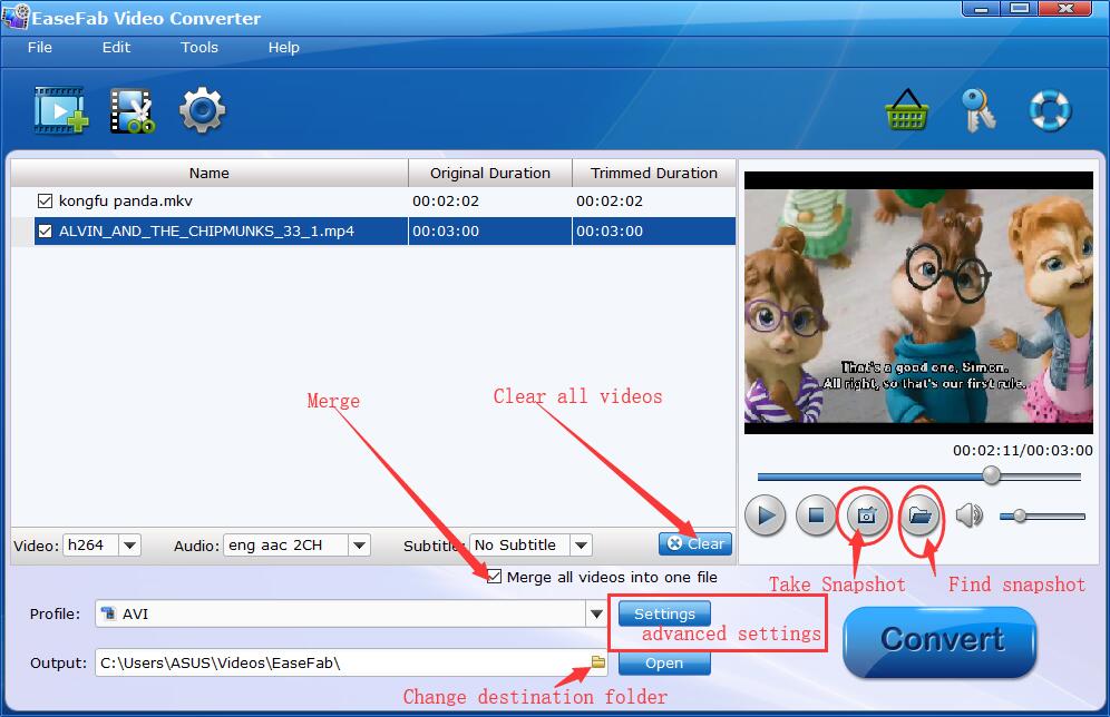 EaseFab Video Converter Interface